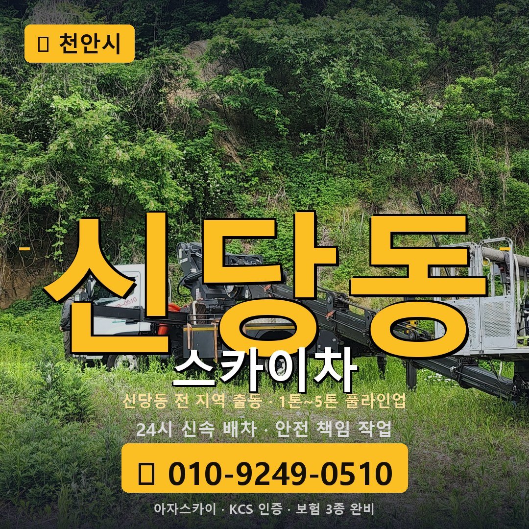 천안 신당동 스카이차 - 아자스카이