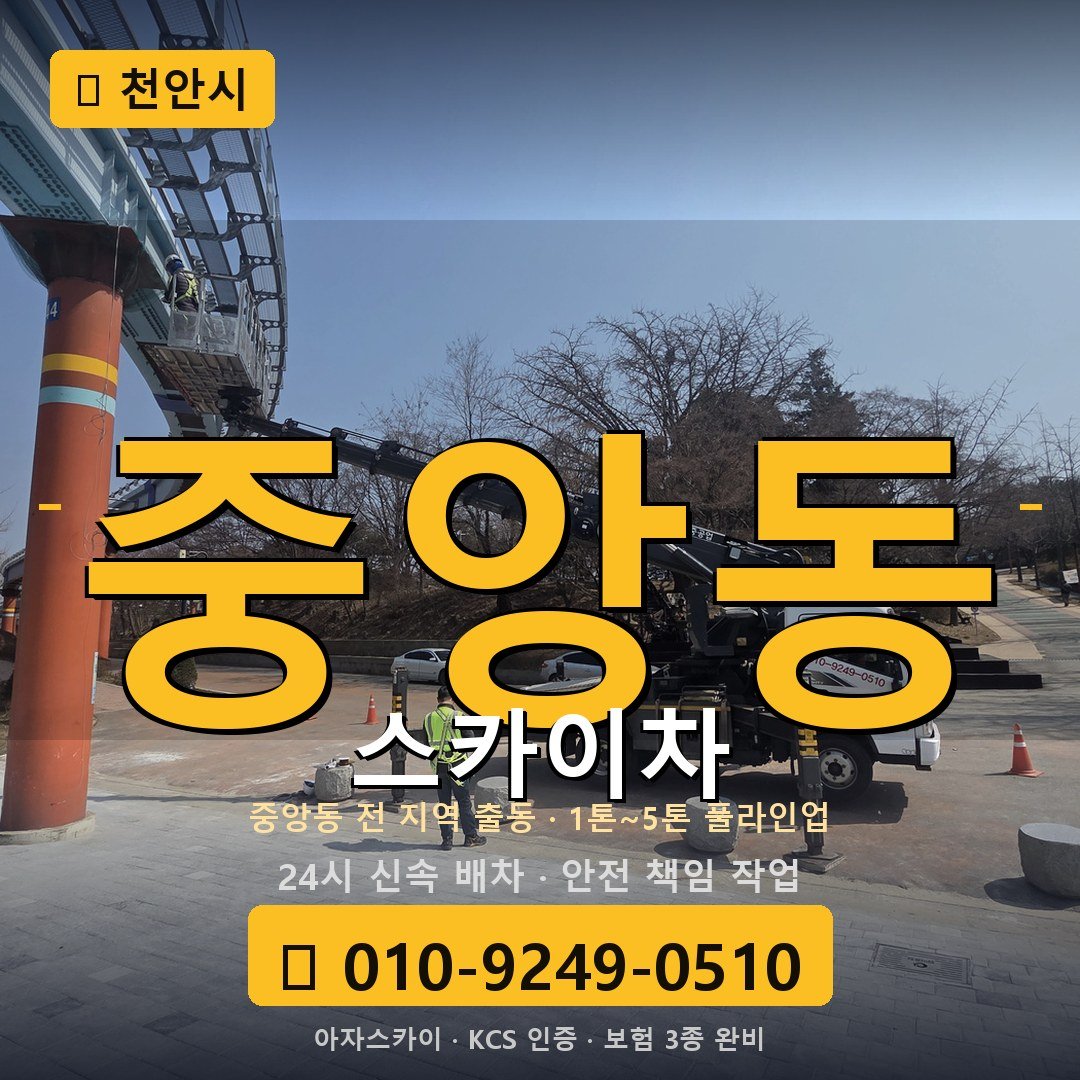 천안 중앙동 스카이차 - 아자스카이